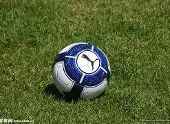 中超买球网,官网入口,产品,中超买球(中国)官方网站,中超买球网官网入口,中超买球官方网站,中超买球官方在哪买