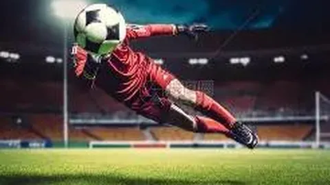 国家篮球运动管理中心