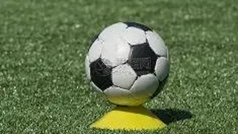 中超买球网官网入口 产品 121752 dla