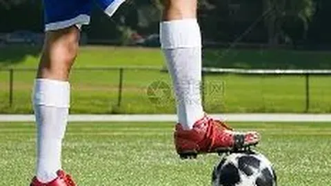 中超买球网官网入口 产品 121252 9id