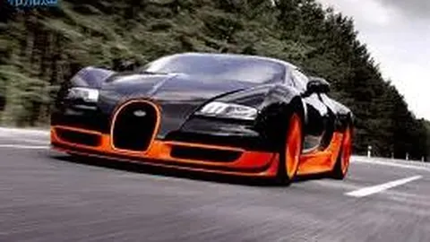 浙江体育：全运视角下的稳健与进取之路